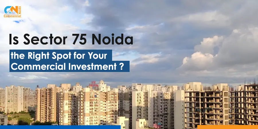 Should You Consider Sector 75 Noida For Your Commercial Investment?