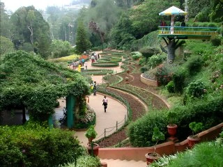 botanical garden image